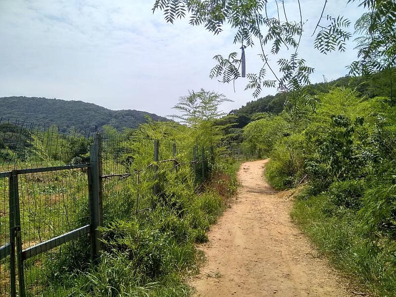 自動(dòng)化檢測設(shè)備廠家軍嶂古道