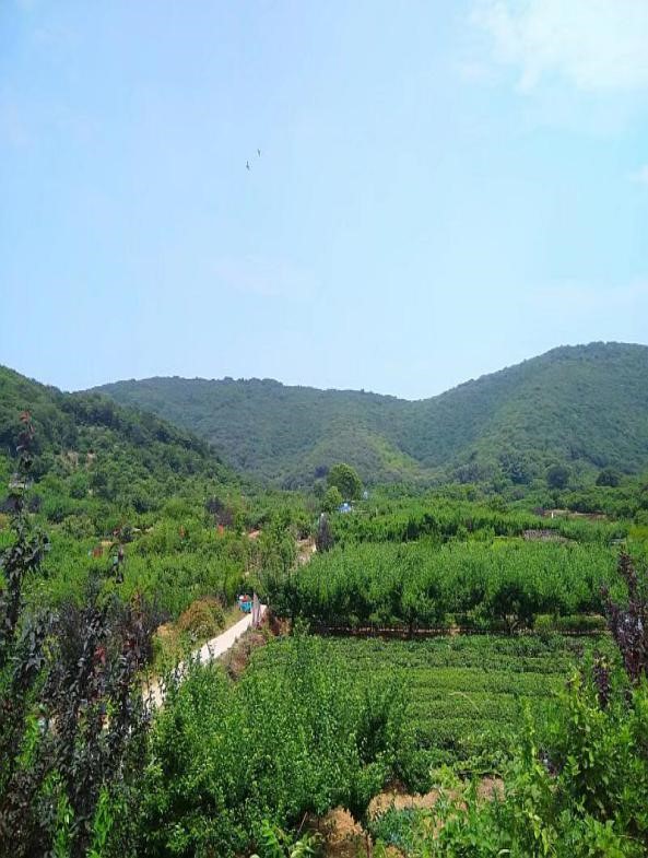 自動(dòng)化檢測設(shè)備廠家軍嶂古道